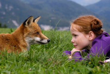 Lisica i djevojčica - Arhiva