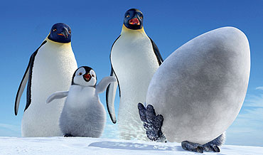 Ples malog pingvina - Arhiva