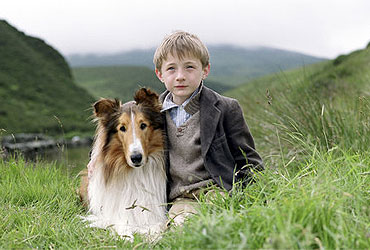Lassie - Filmovi