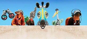 Zebra trkačica - Arhiva