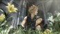 Final Fantasy VII: Nova prijetnja Slika g